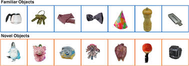 2025年惠州国企最新消息免费看小说在线阅读（更新中）