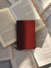 地下城与小说婚戒勇士M刷图冲级鸟人助手DNF手游辅助脚本