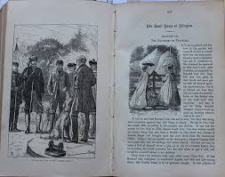 言情小说拍的偶像剧:小说