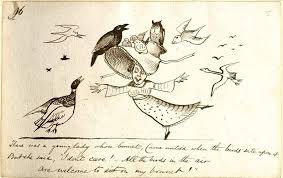 后宫轻小说都市完整版小说