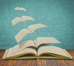 小说纳妾记小说美女在非洲